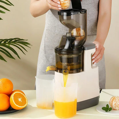 NutriPress™ Cold Press Juicer