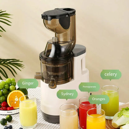 NutriPress™ Cold Press Juicer