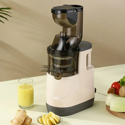 NutriPress™ Cold Press Juicer