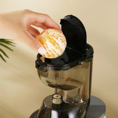 NutriPress™ Cold Press Juicer