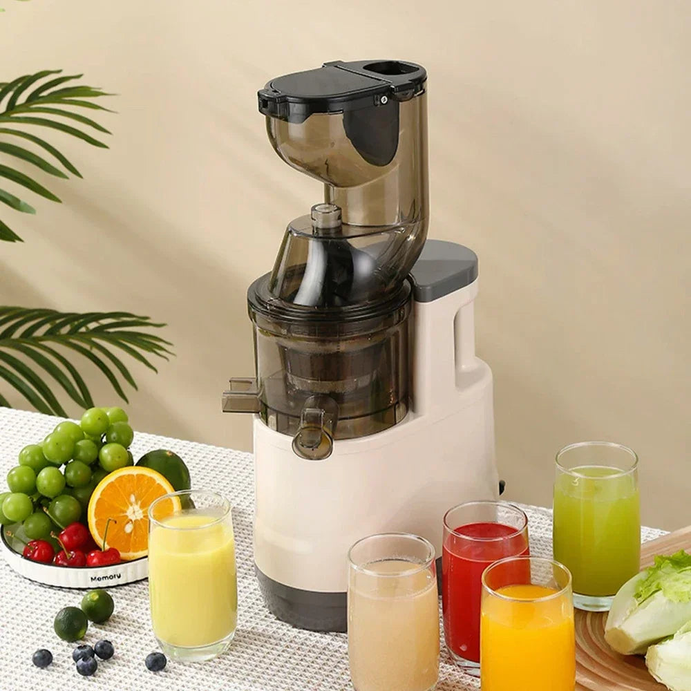 NutriPress™ Cold Press Juicer