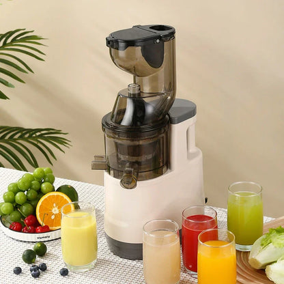 NutriPress™ Cold Press Juicer