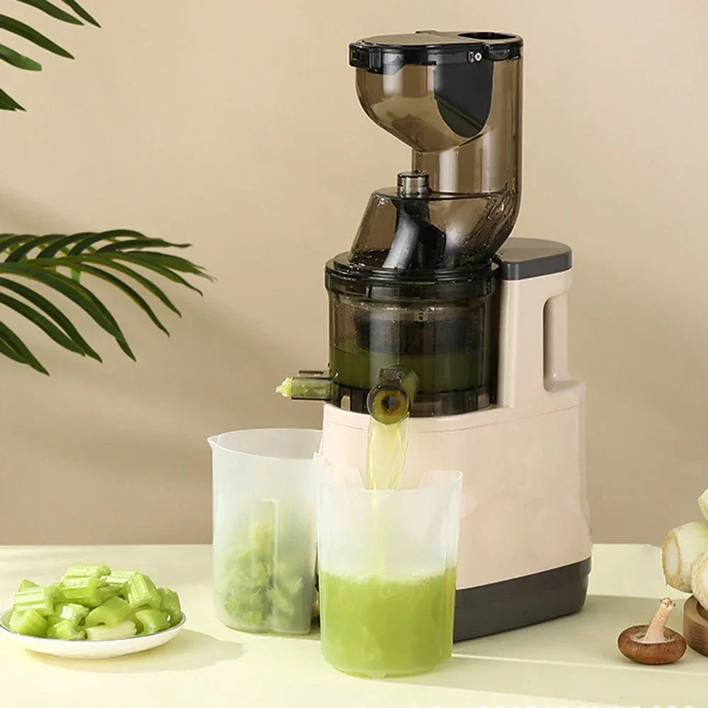 NutriPress™ Cold Press Juicer