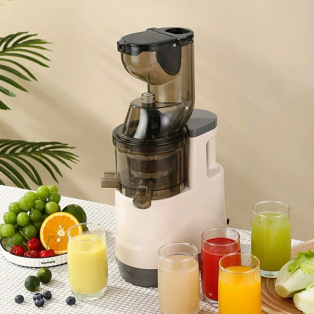 NutriPress™ Cold Press Juicer