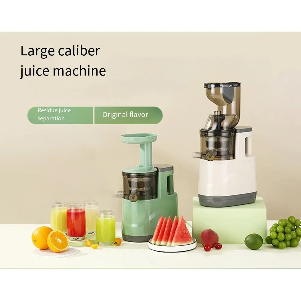 NutriPress™ Cold Press Juicer
