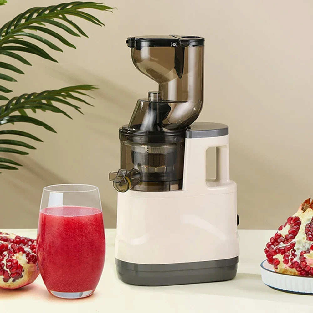 NutriPress™ Cold Press Juicer