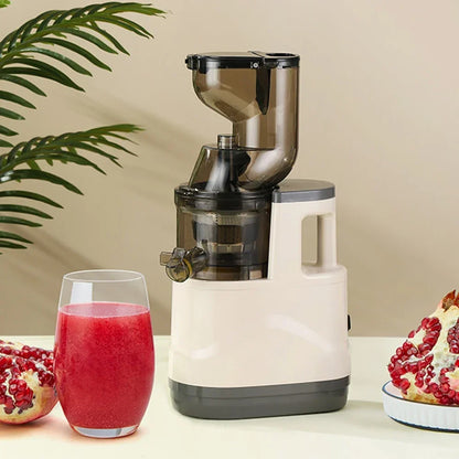 NutriPress™ Cold Press Juicer
